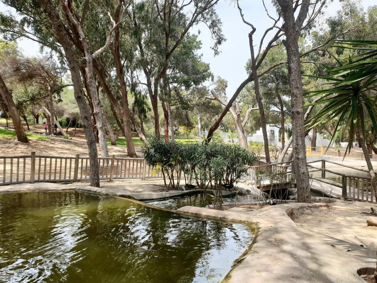 Apartamento Parque Sur 瓜尔达马尔·德尔·塞古拉 外观 照片